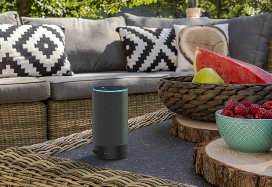 Introducing Surge – Unleash Your Echo!