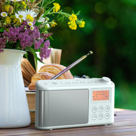 i-box Spectrum Portable DAB/DAB+/FM Radio with 5 Favourite Buttons